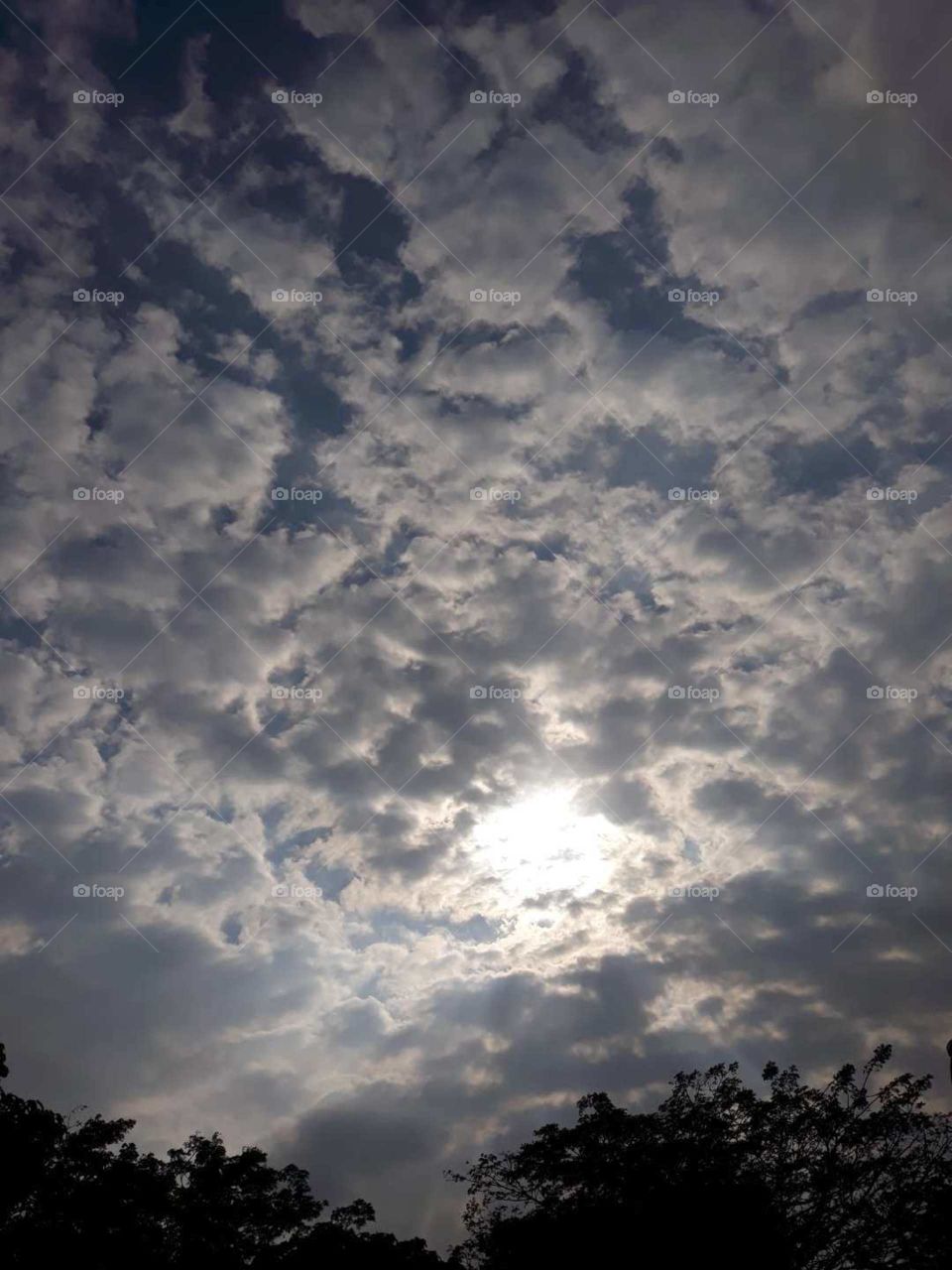 We all live under the same sky, but we don't all have the same horizon.