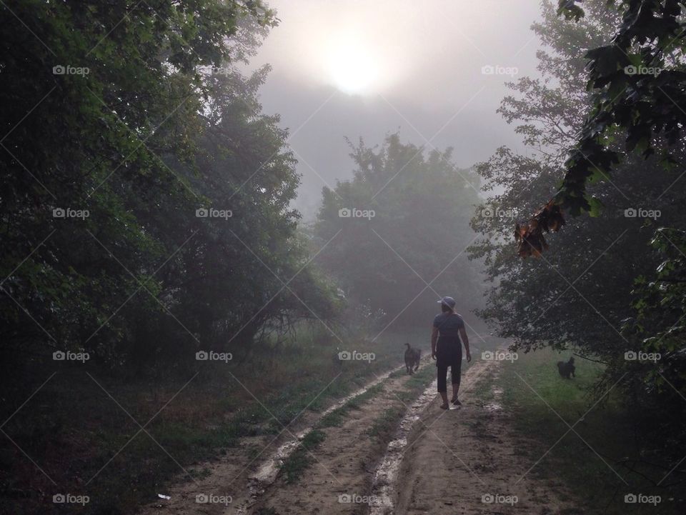 Walk in the fog