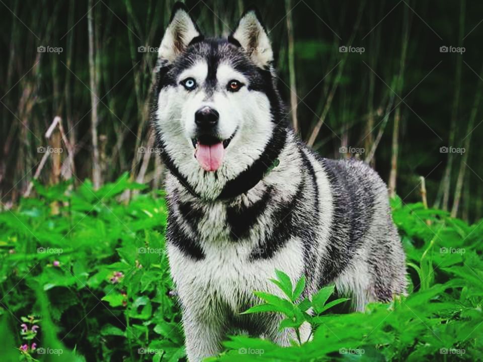 POSING FOR THE CAMERA! !