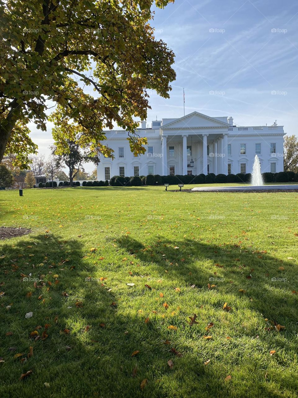 The White House 
