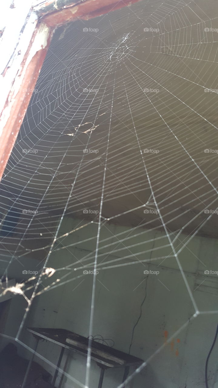 spider web inside of window in abandoned Farm