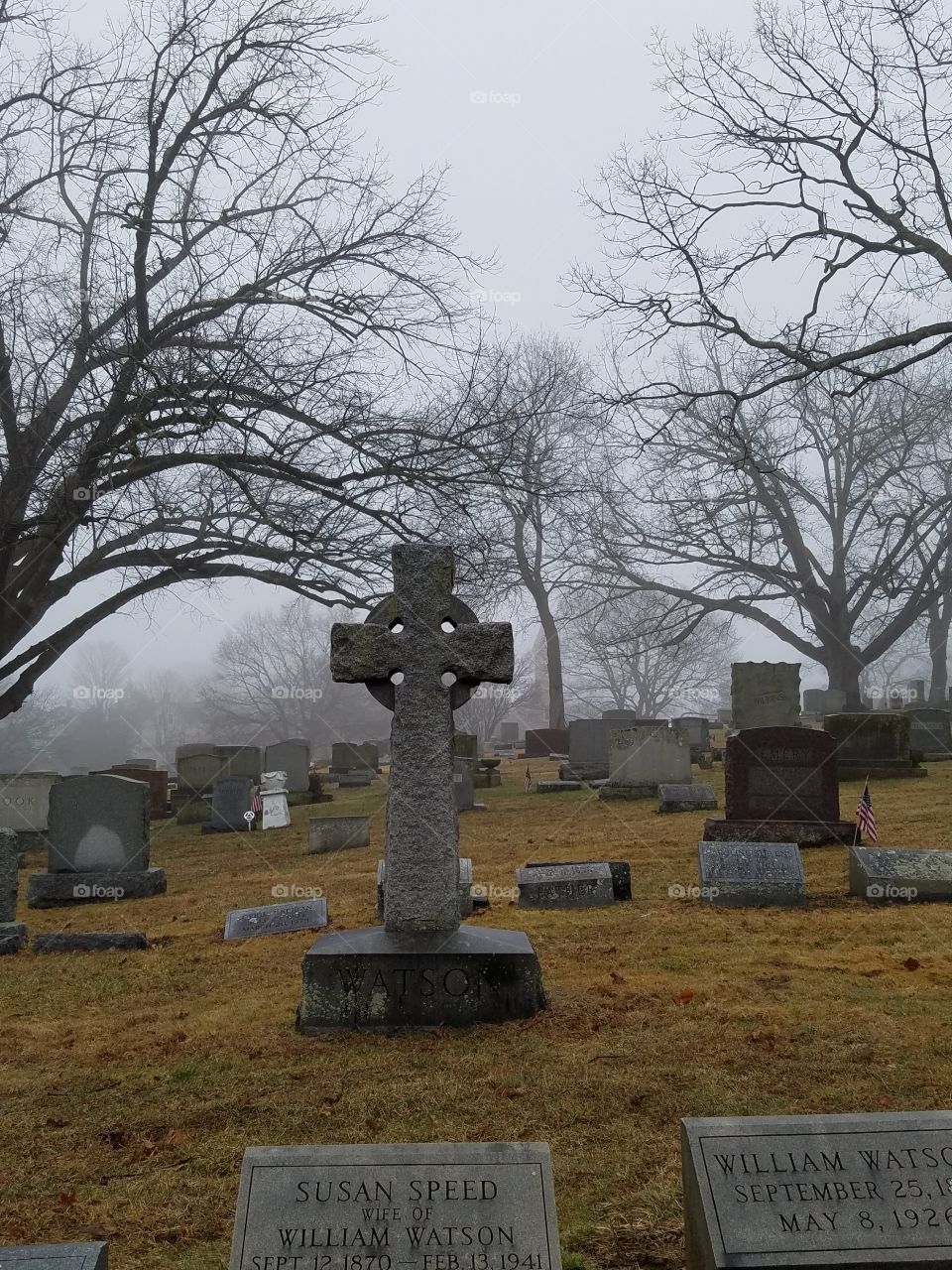 calm foggy cemetery