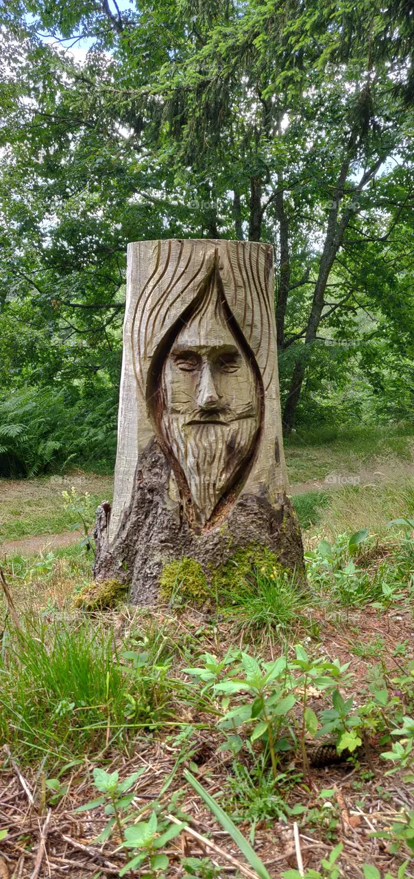 Wood's face