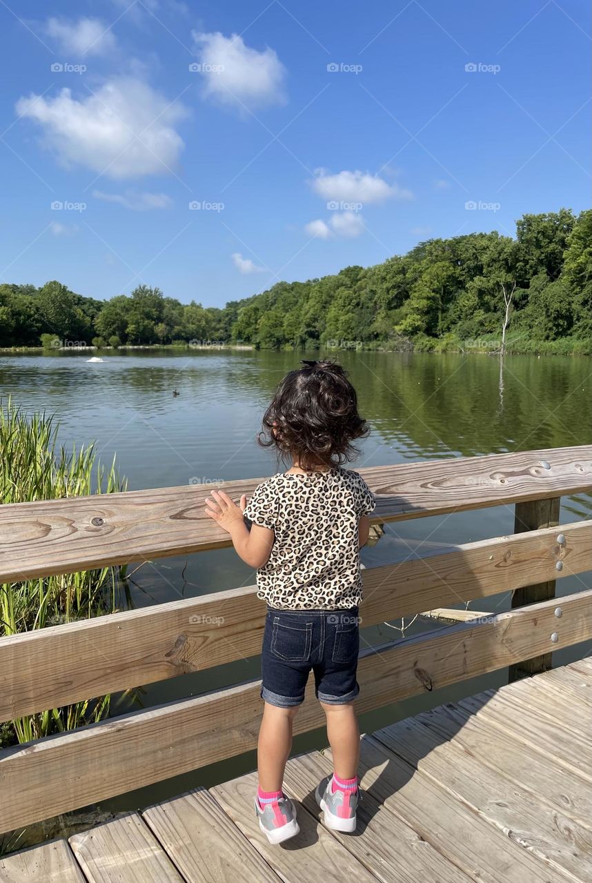 Toddler looking out over lake, toddler peering into water, child enjoying summertime lake, child enjoys nature 