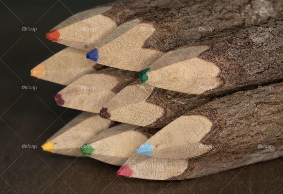 A collection of coloured pencils made from twigs