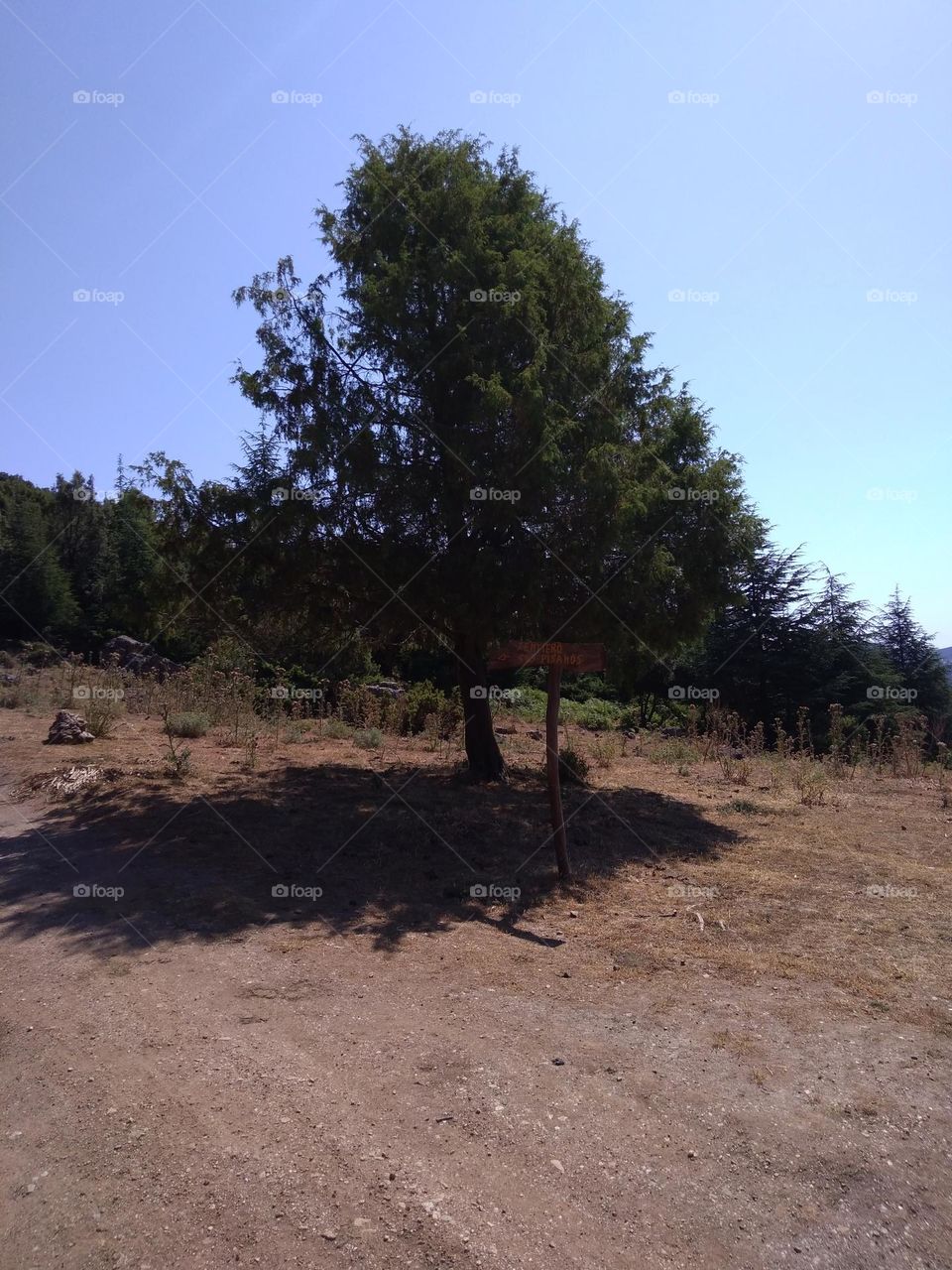 Editors' Choice - Photo of the Week