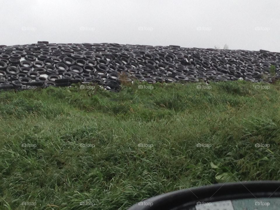 Tires holding down plastic to keep silage dry