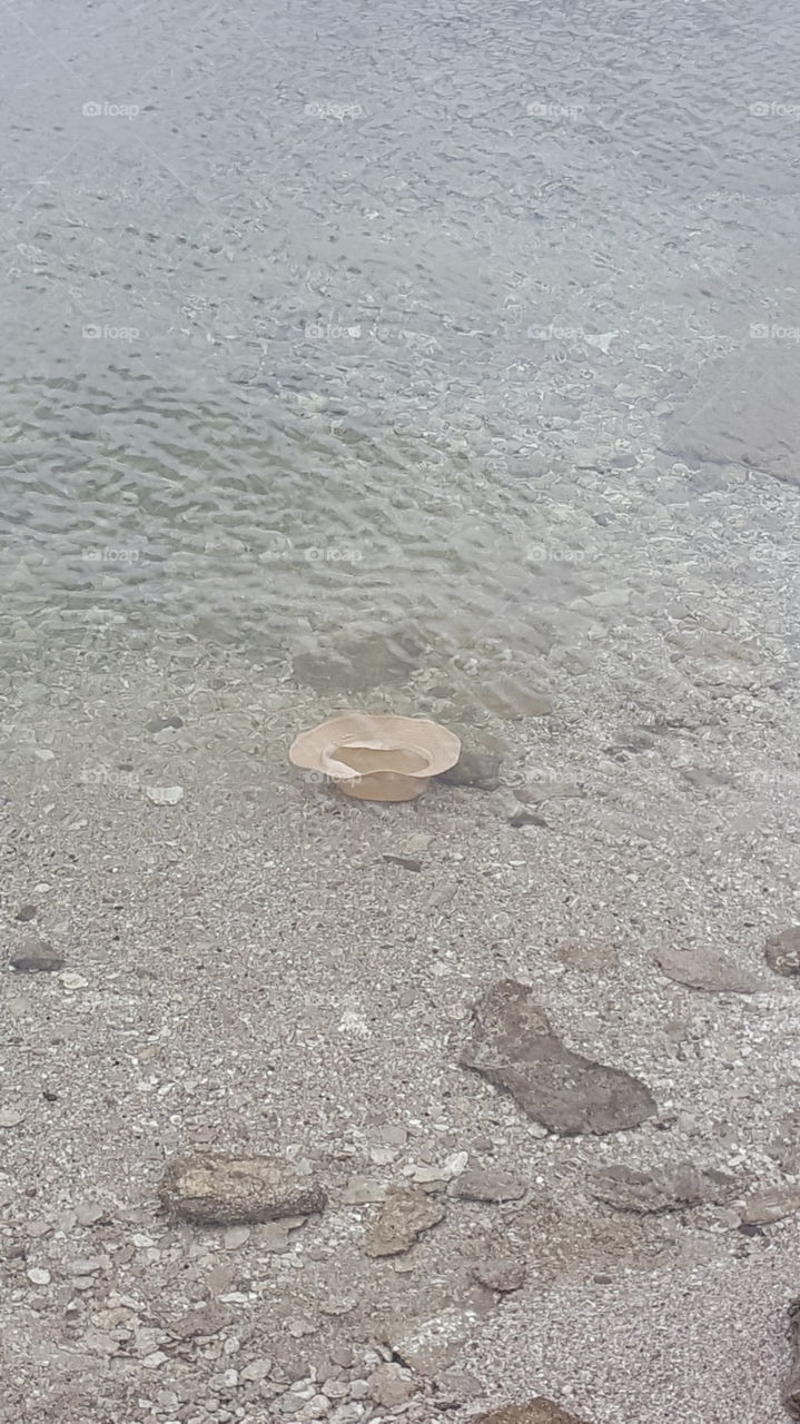 Hat in lake Yellowstone national park