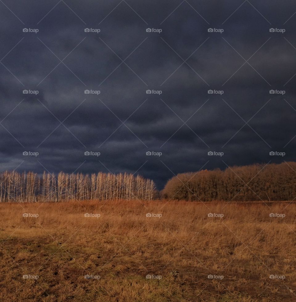 Scenic view of landscape