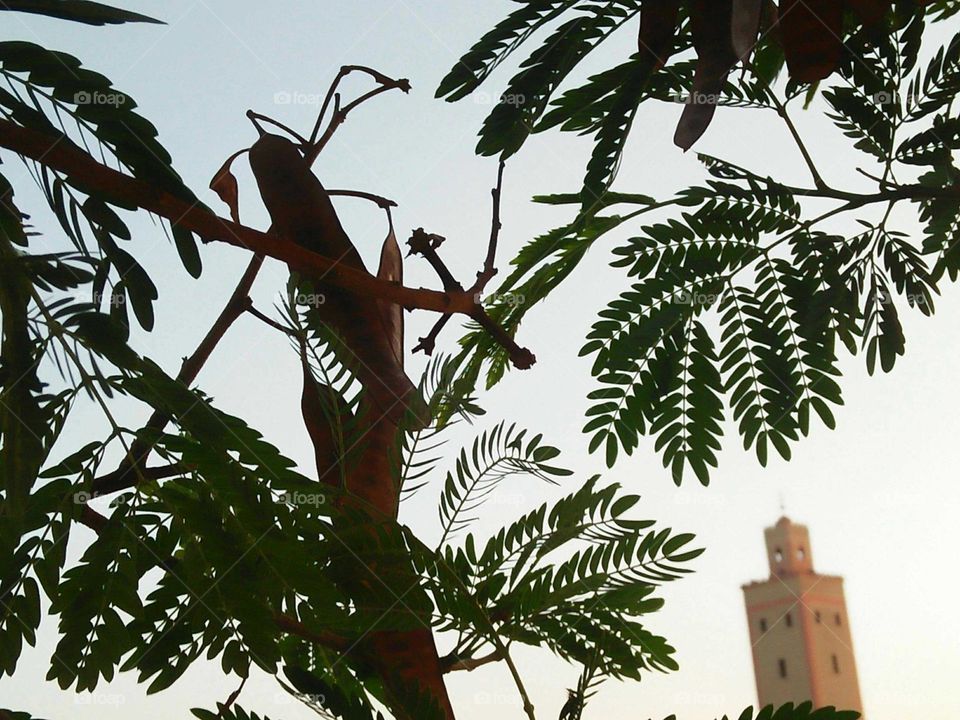 Beautiful view to minaret mosque