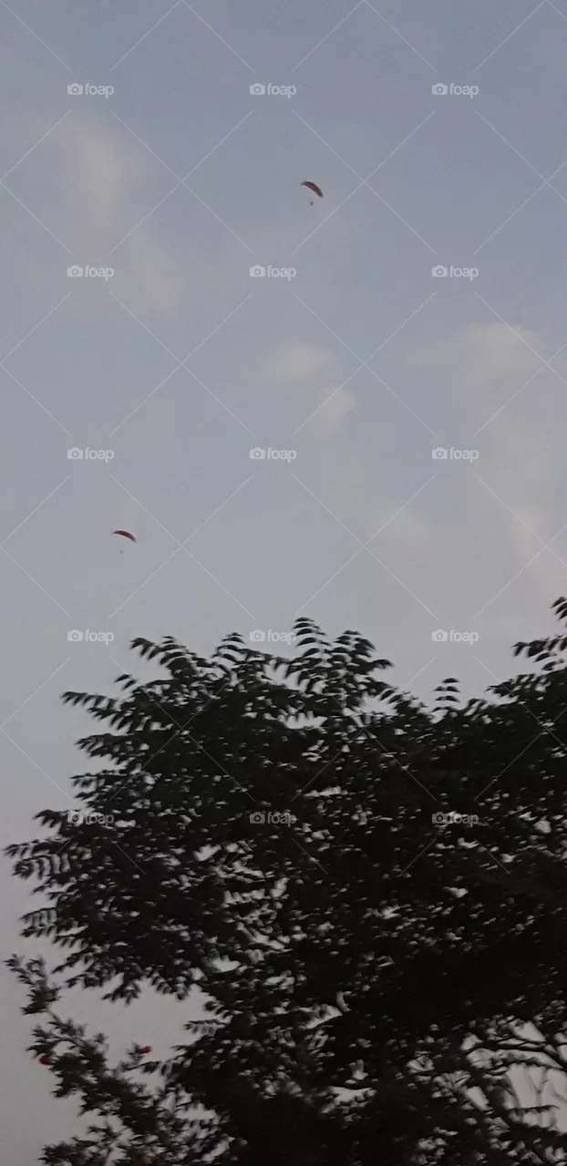 kite