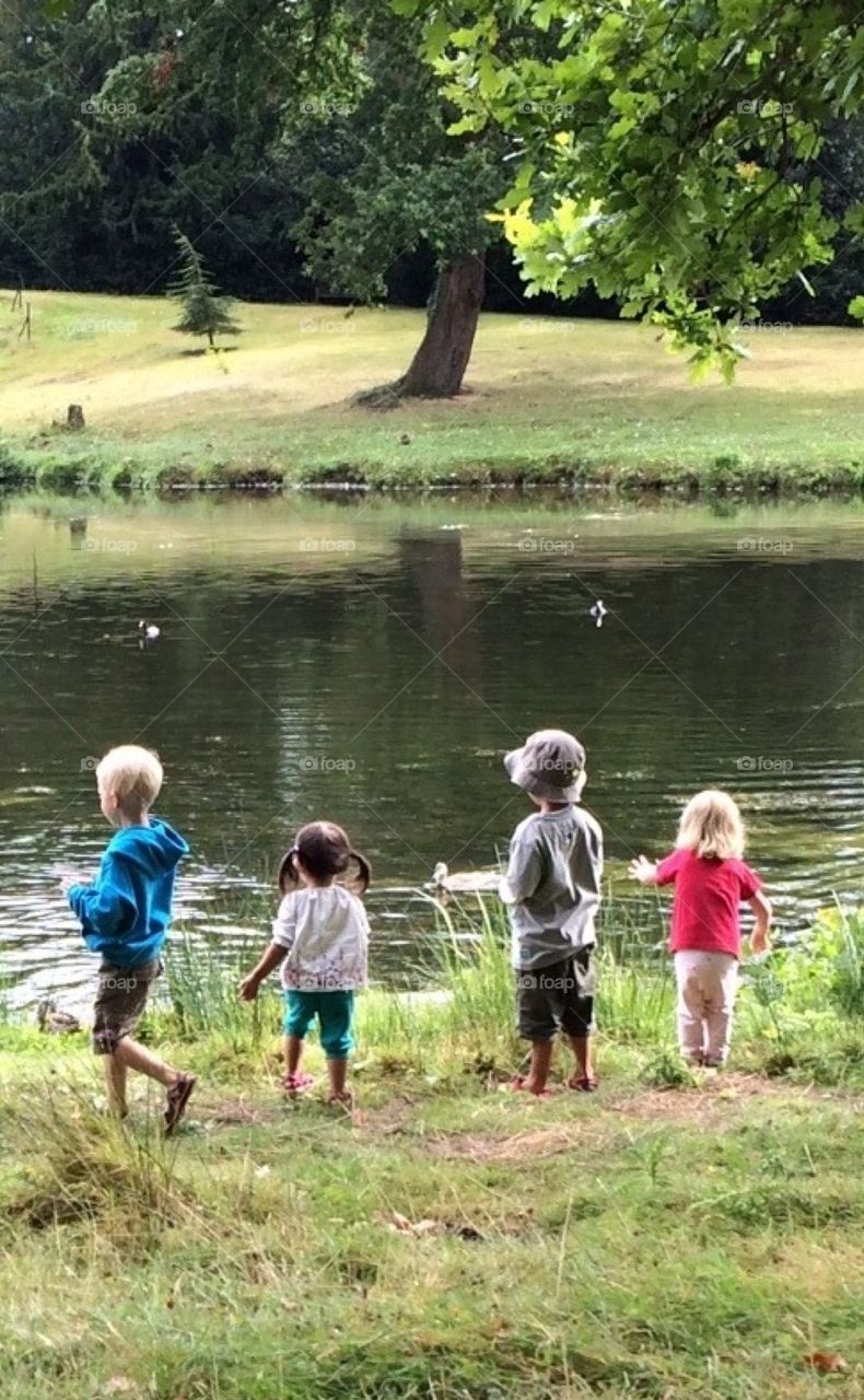 Painshill lake, Surrey, England.