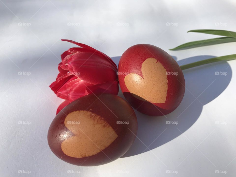 Red easter egg and red tulip