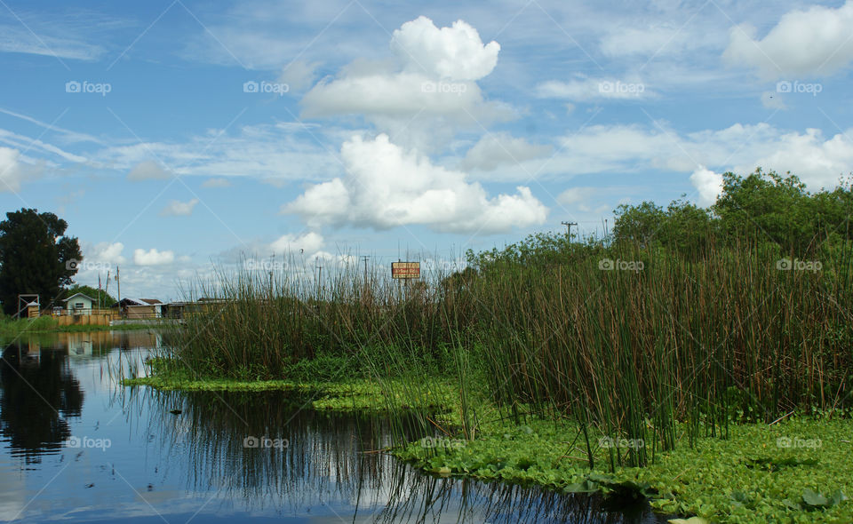 Swamp reflection 