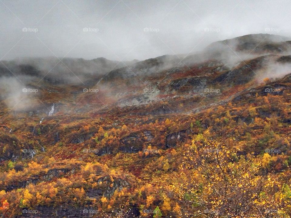 Fog and rain in the mountains
