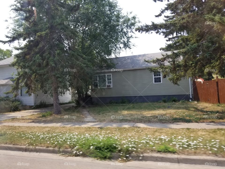 Tree, No Person, Home, Wood, Road