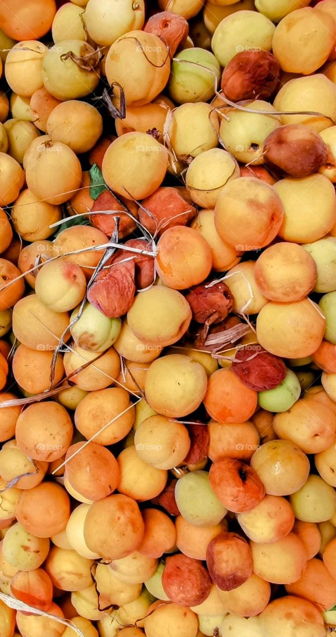 Apricots