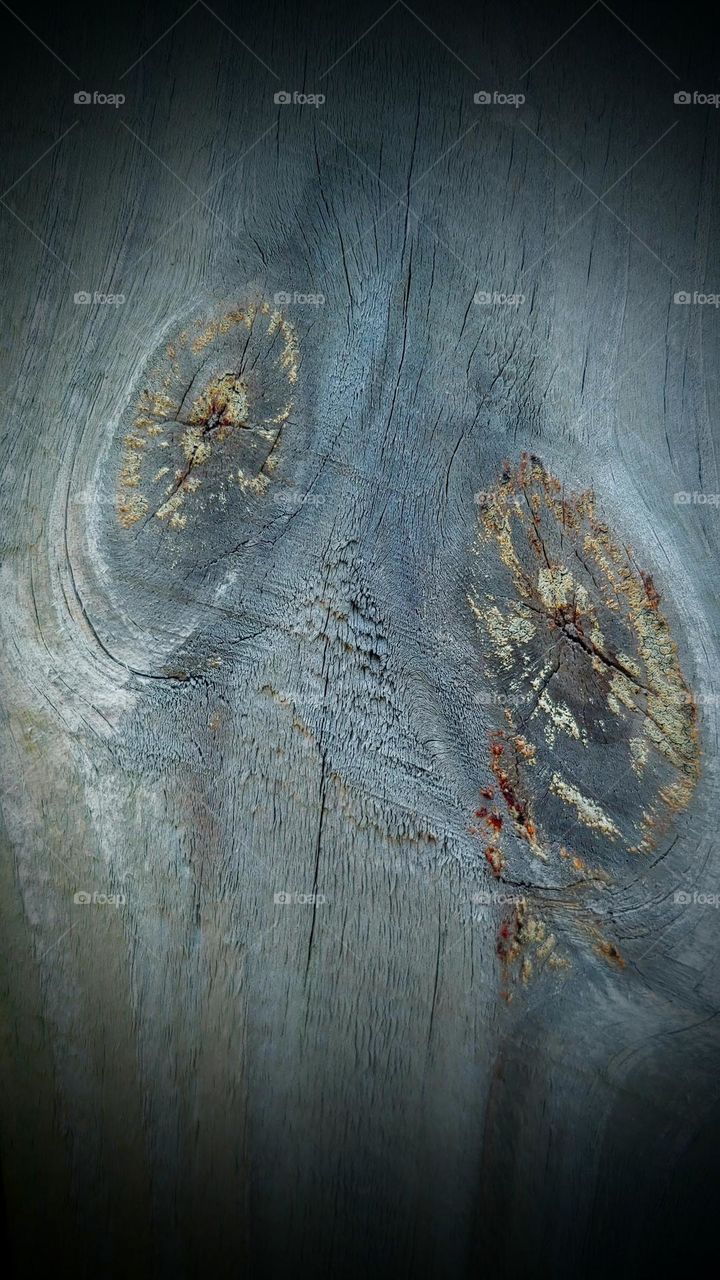 nature design on wood captured