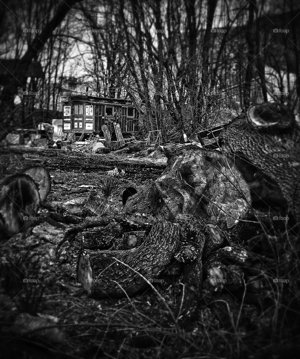 if you go down to the woods today. this site I come across looked spooky 