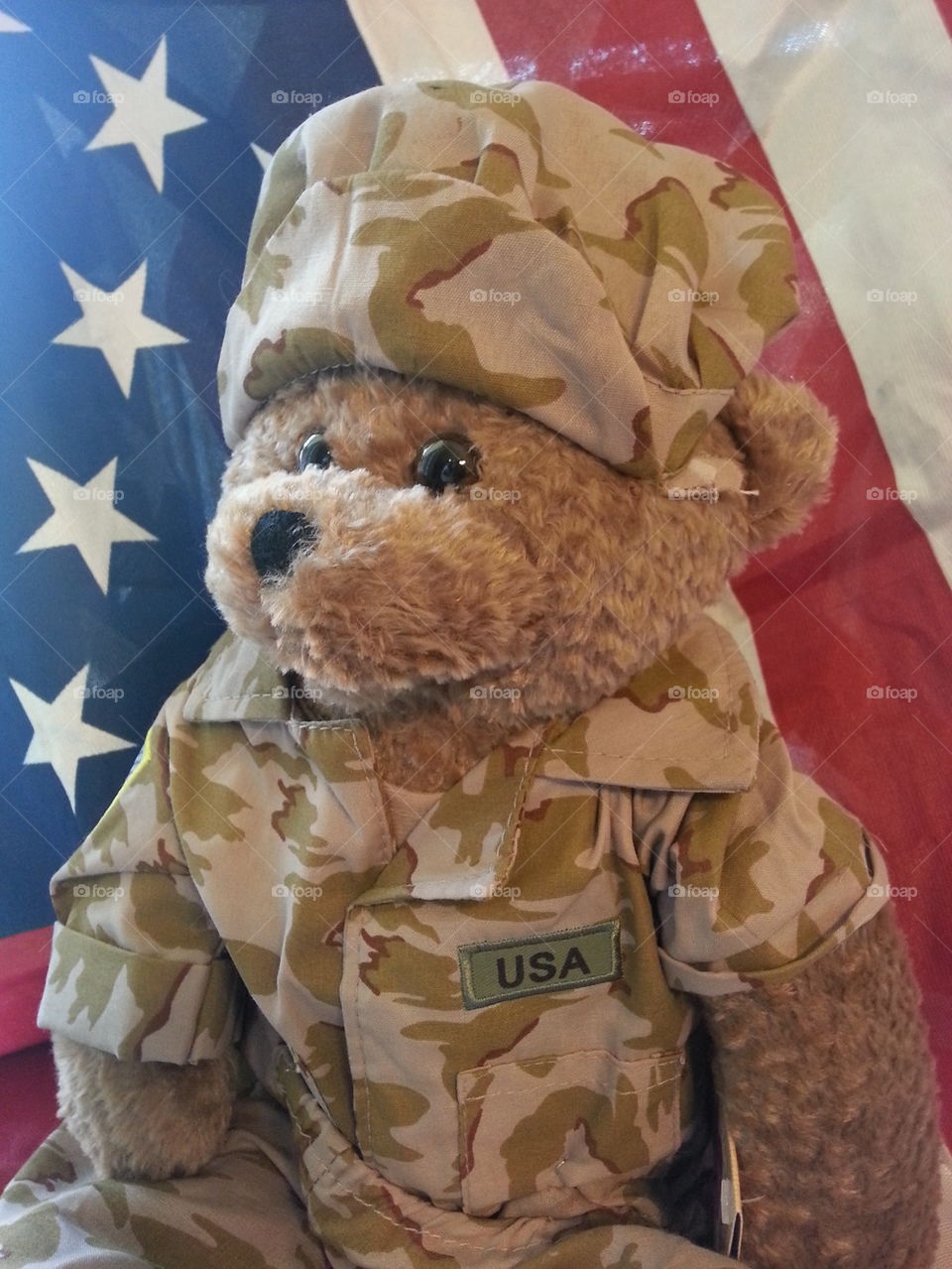 Soldier Bear 1984