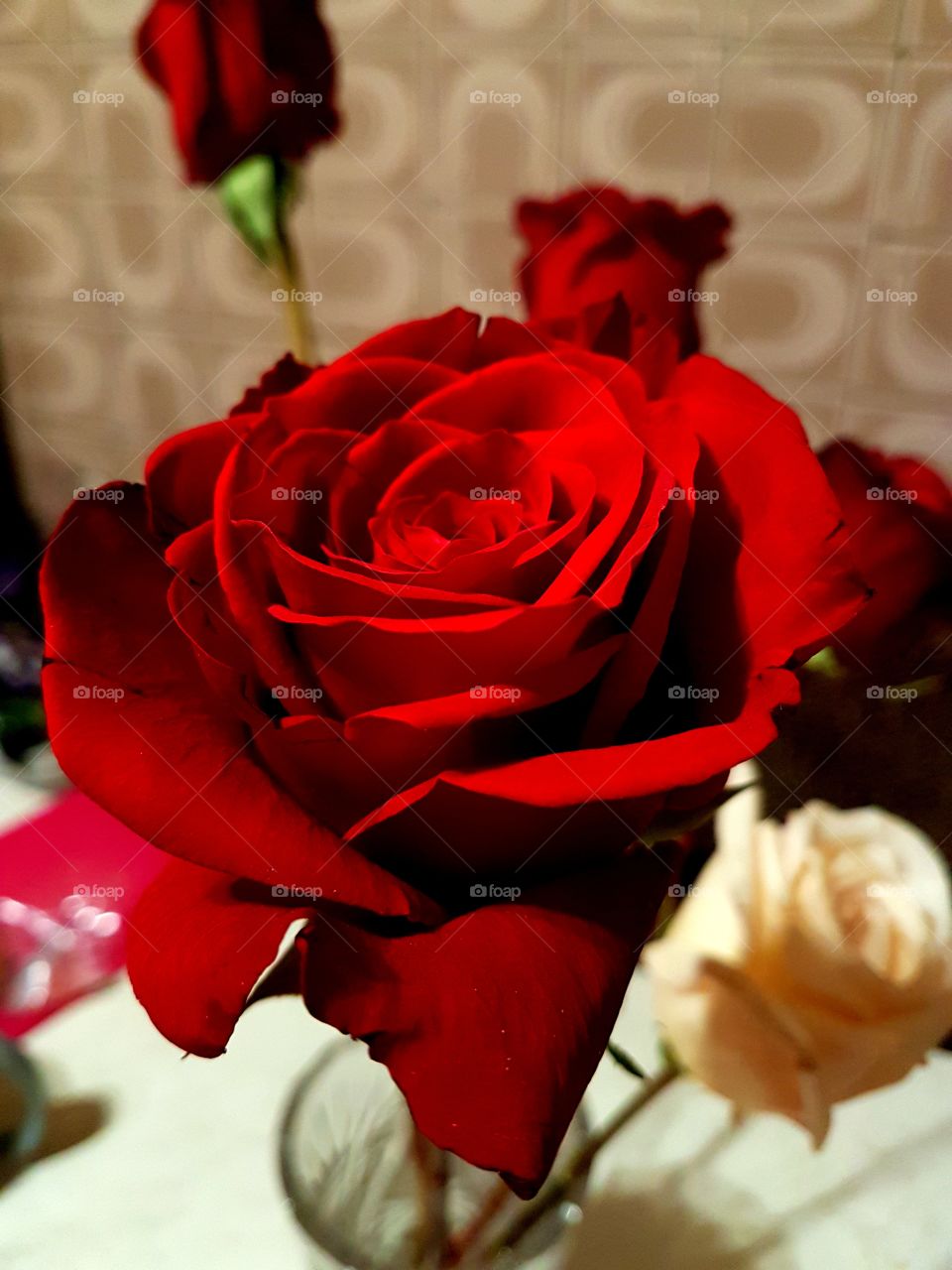 Rose, Love, Wedding, Romance, Flower