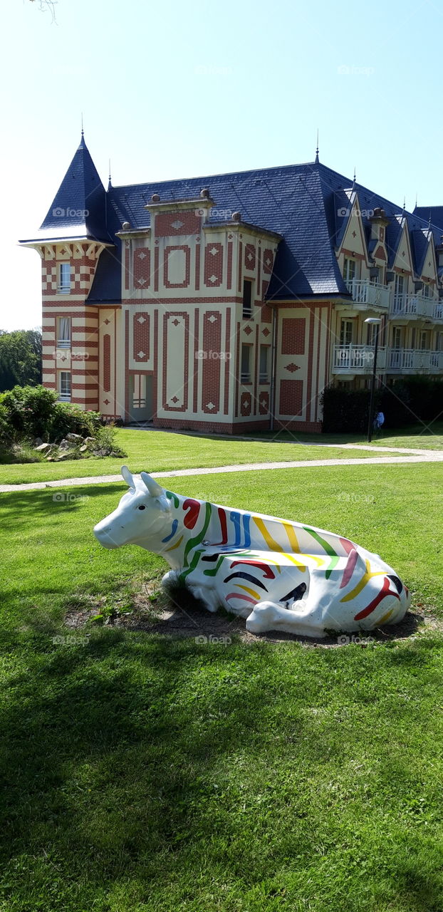 cow in the grass at Bagnoles de l'Orne