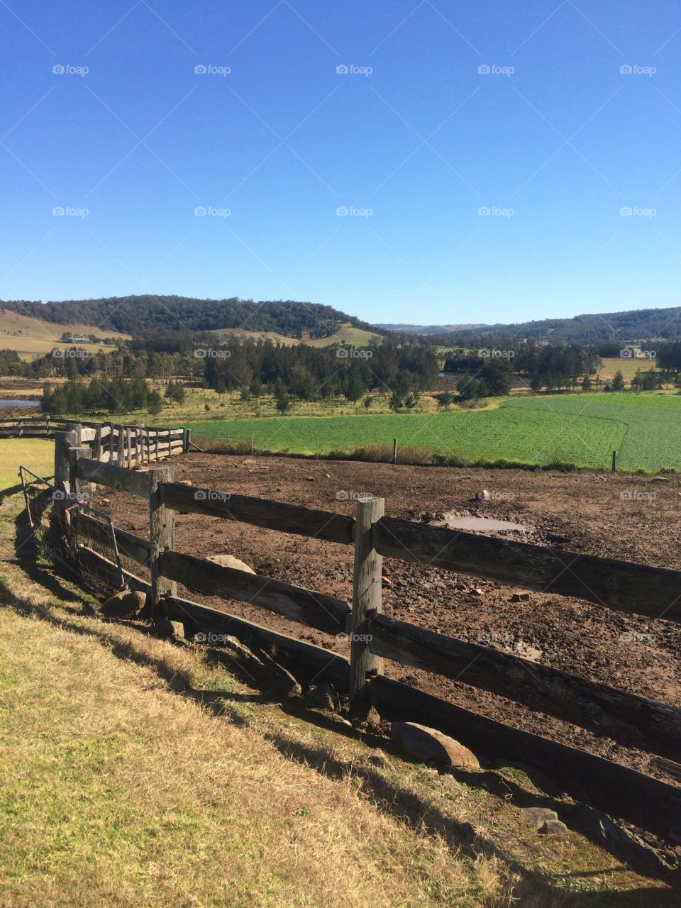 Timber fence surrounding animal enclosure on rural property