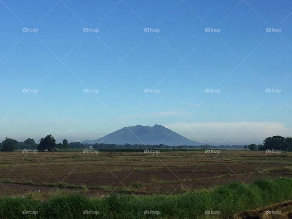 Mt. Arayat