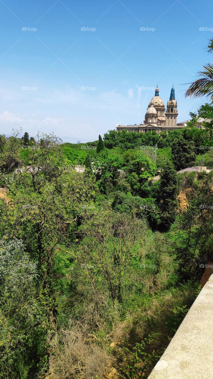 Castle in the woods.