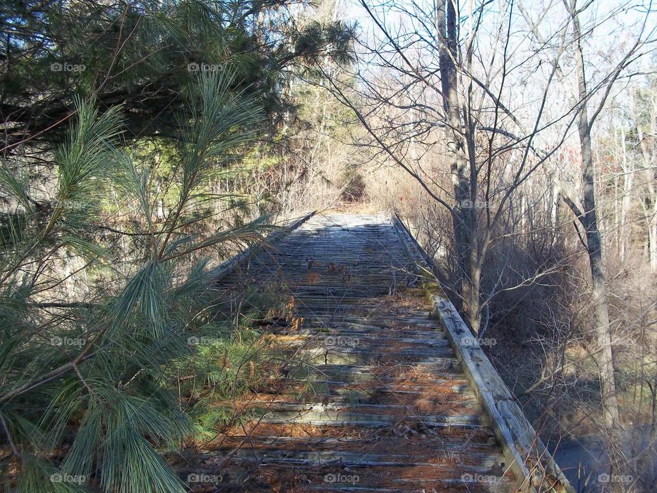Abandoned Harlem Line railroad bridge