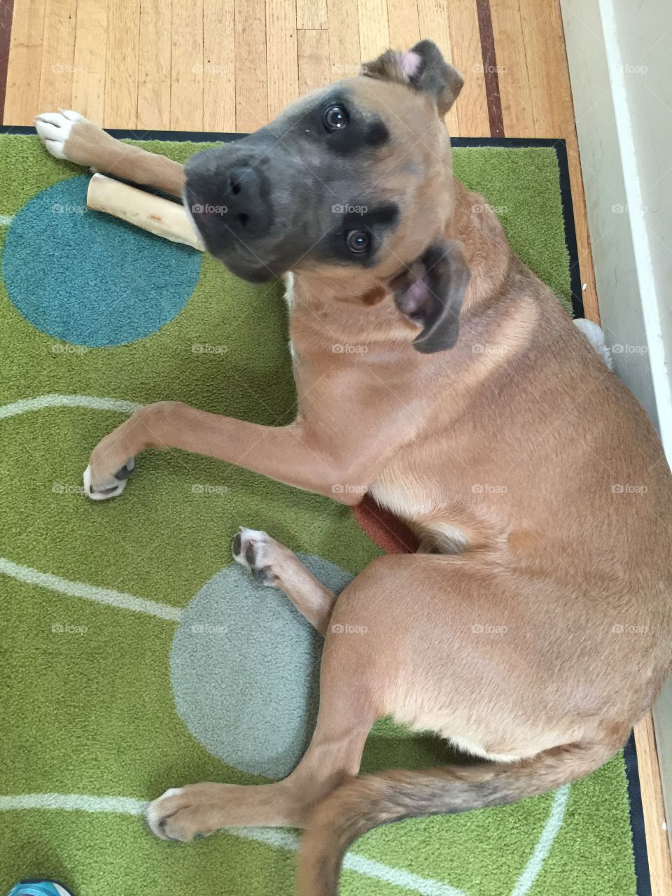 What are you looking at?