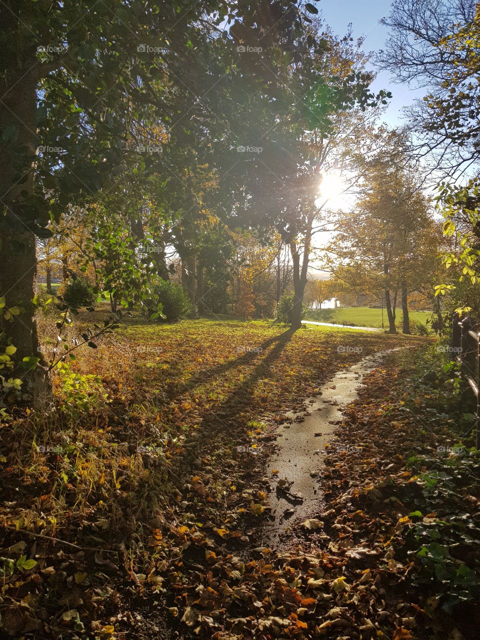 Path leading to park on a sunny autumn morning.