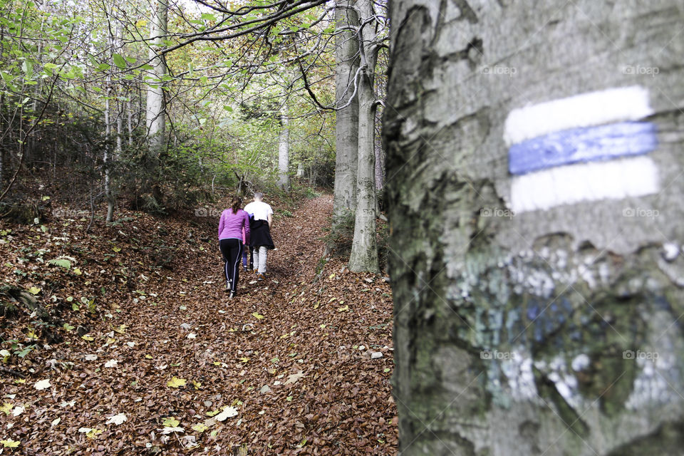 hiking