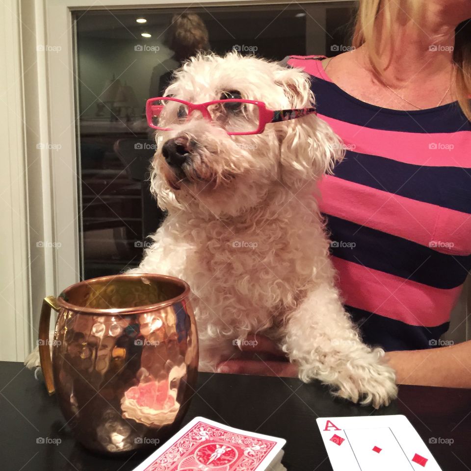 Poker anyone?? This is woody the poker player