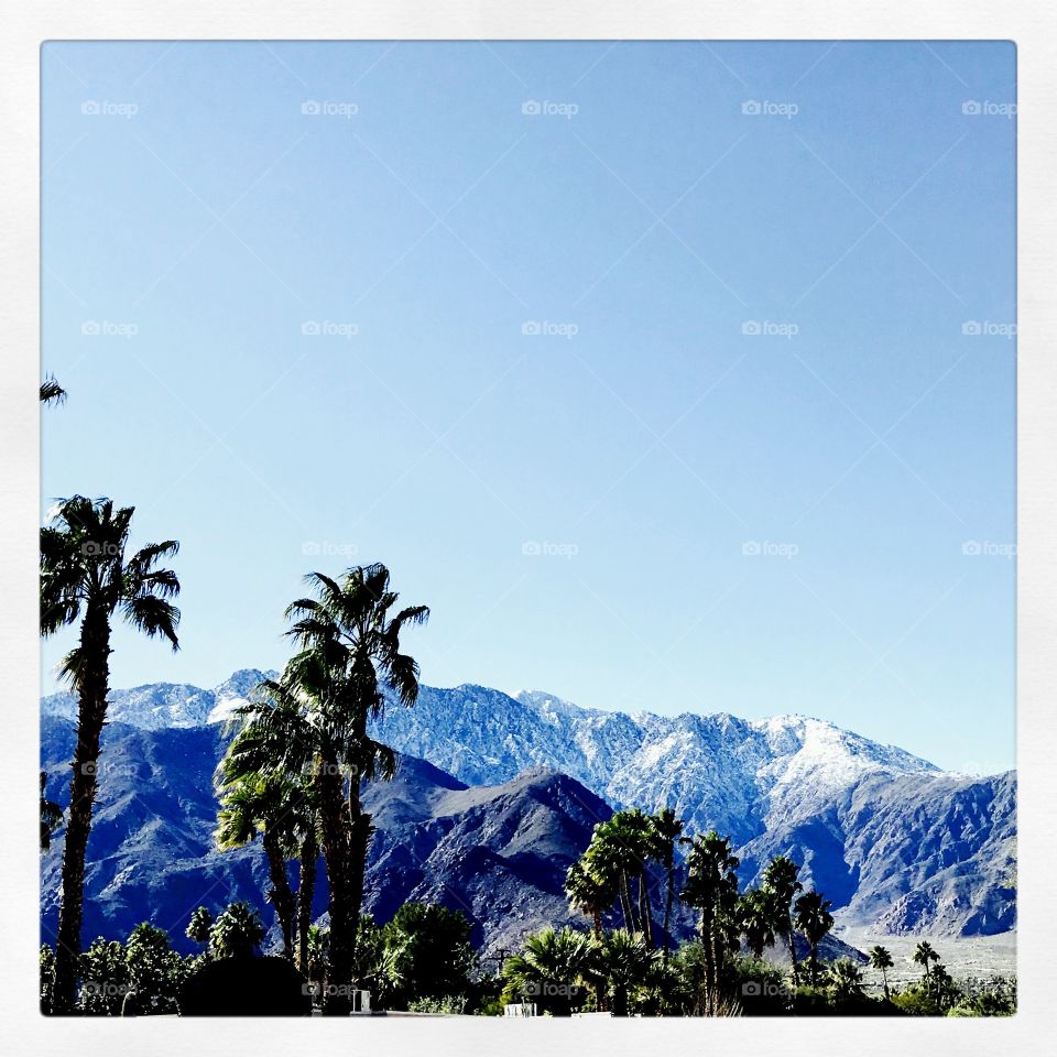 Palm Springs 