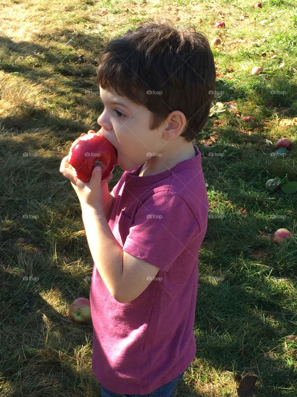 Little boy eating apple