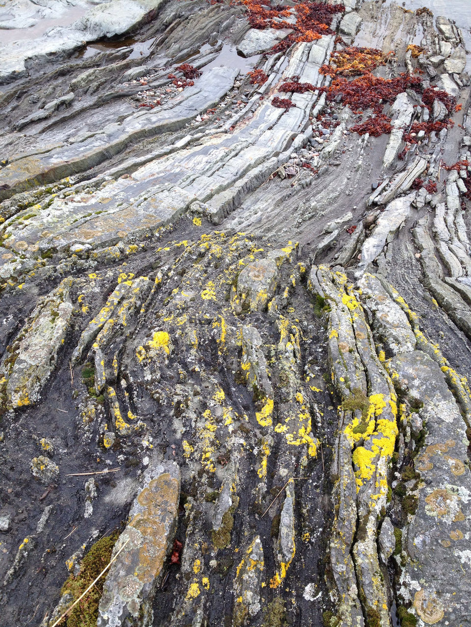 värmdö stone surface rock by kriwen