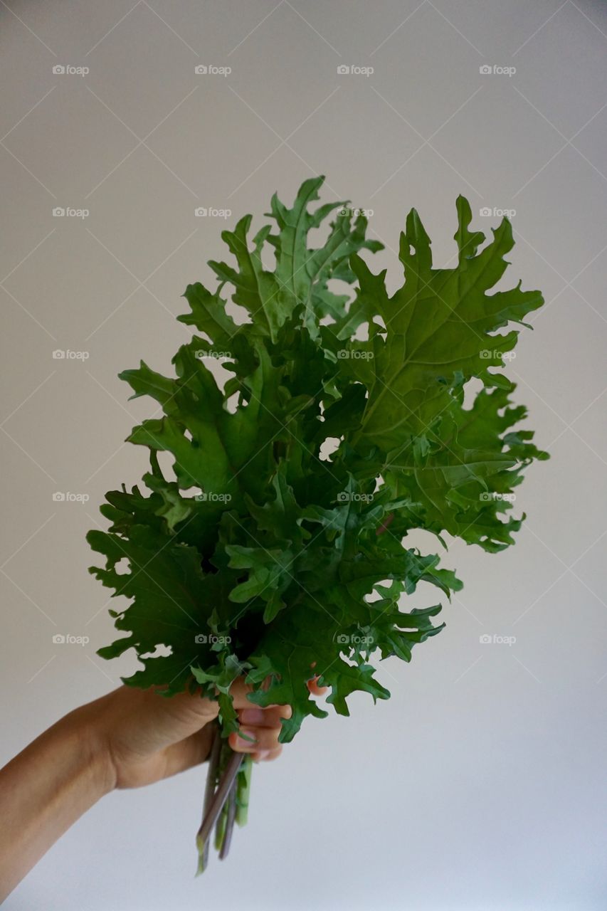 Holding bouquet of kale