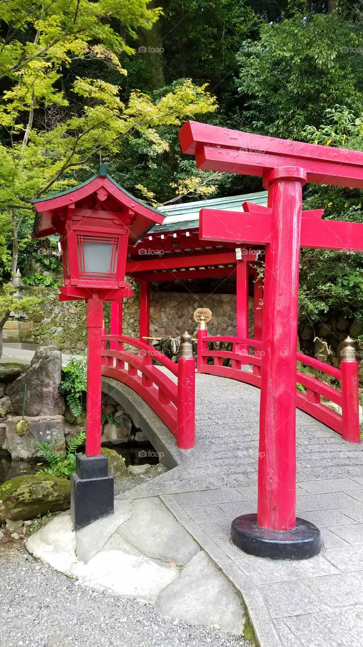 Red bridge and torii gates