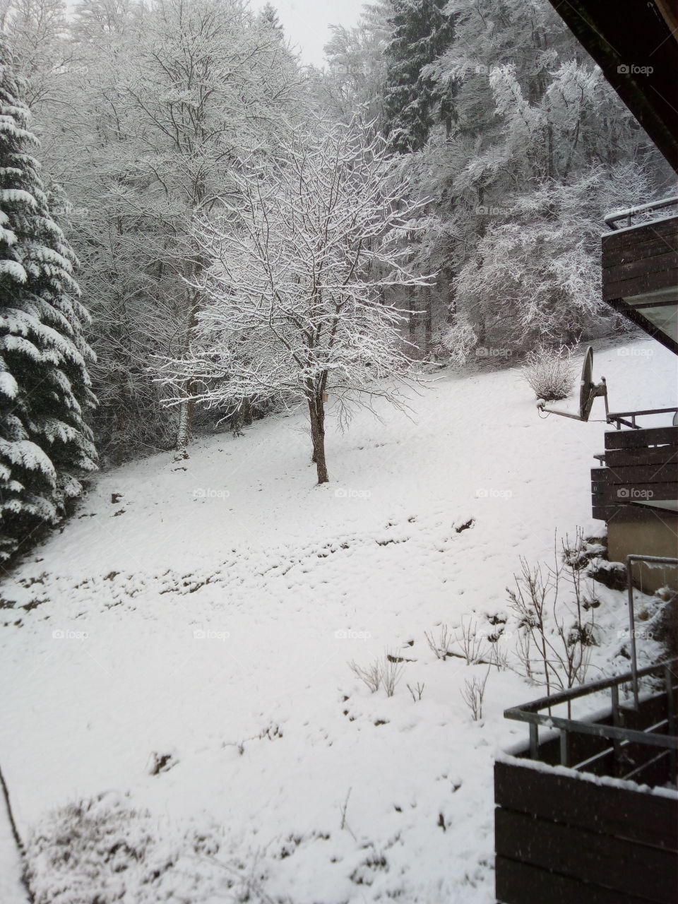 Bad Wildbad in winter