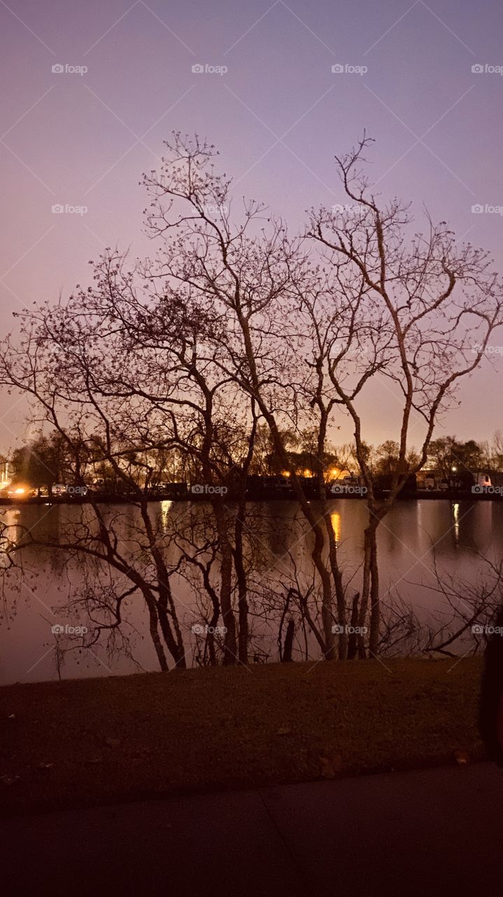 Shoreline Trees Front and Across the Lake Waters Continue to make Reflections of trees clouds backlit conditions. Smooth Lake Waters show Reflections