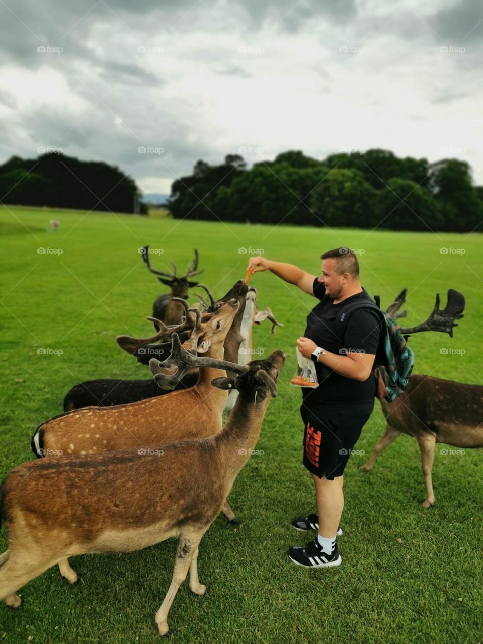 Pheonix Park Dublin