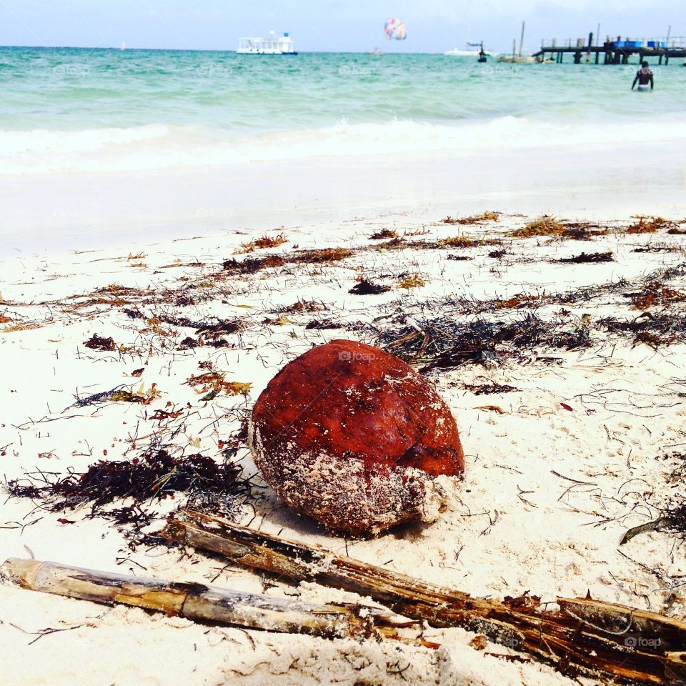 Beach. Coconut