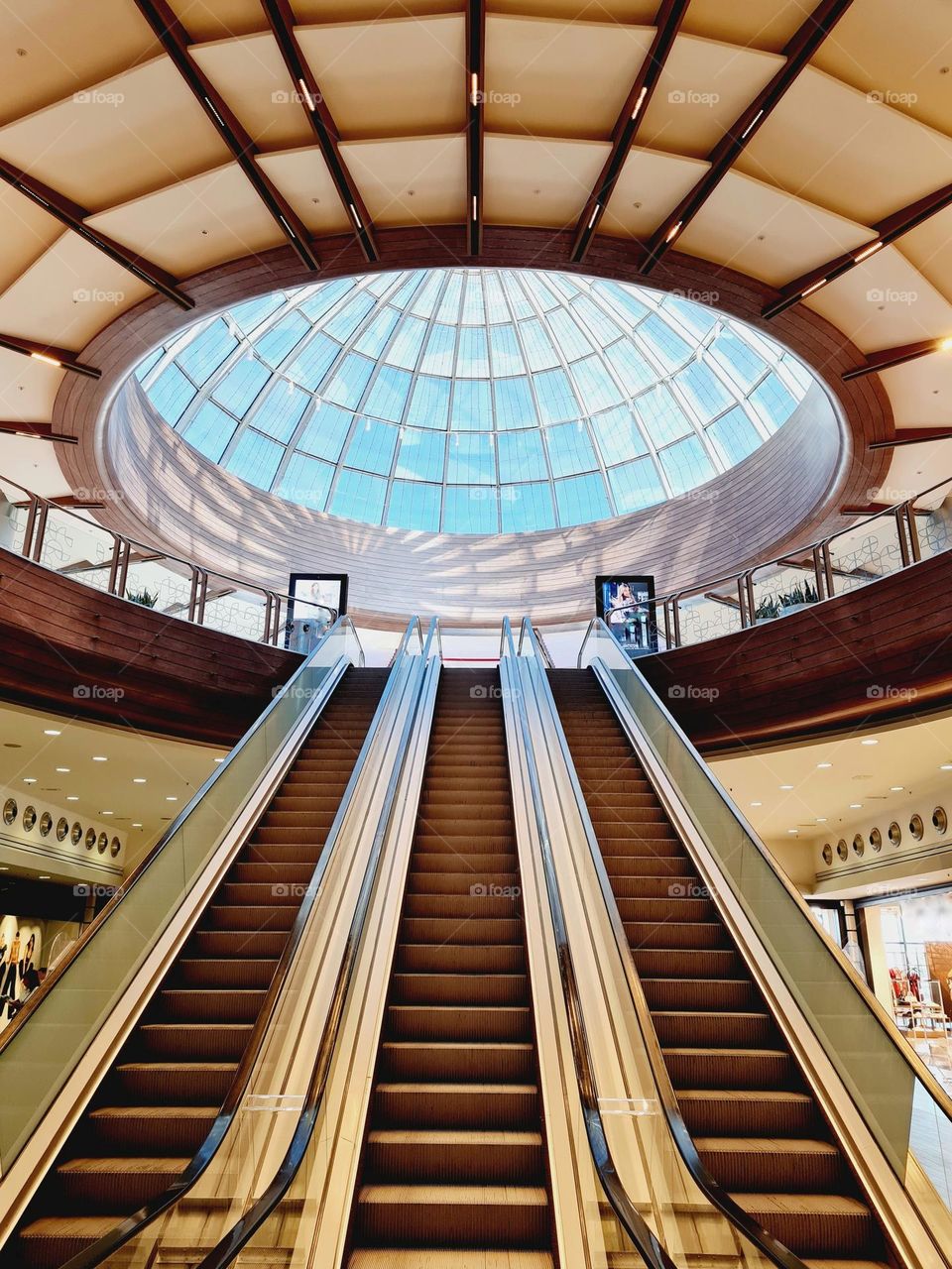 imposing and futuristic escalators with glass dome