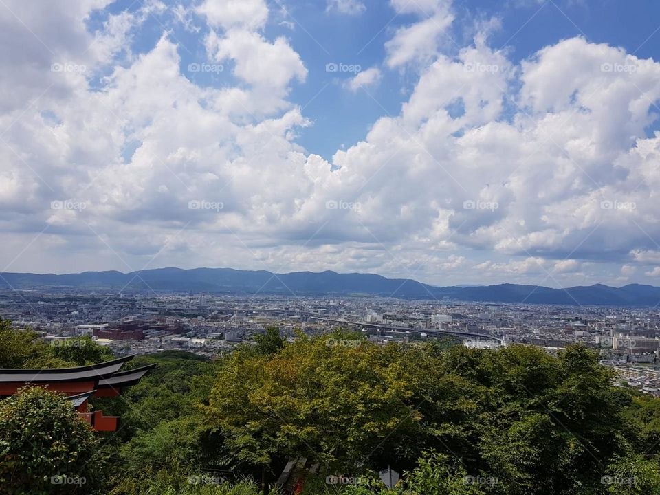 Kyoto view from the tea forest