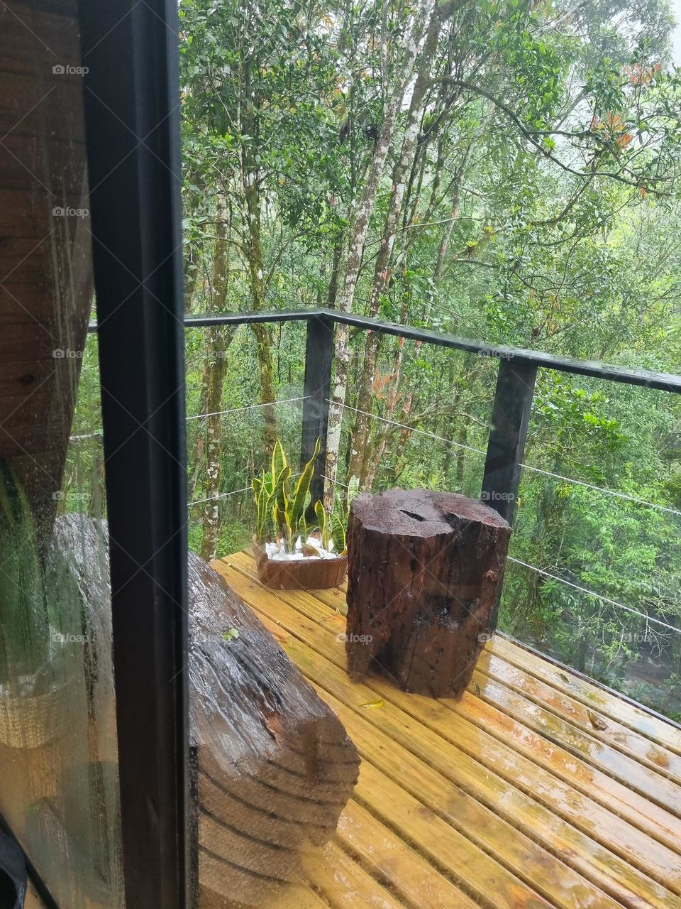 cabana na floresta