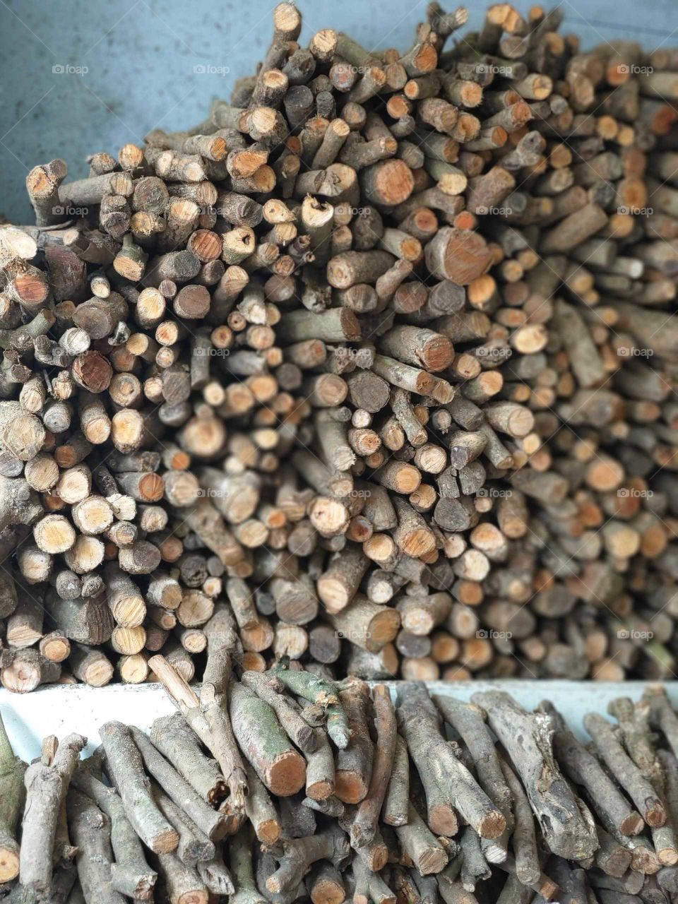 Shapes:Ellipse. firewood, natural beautiful round wood.