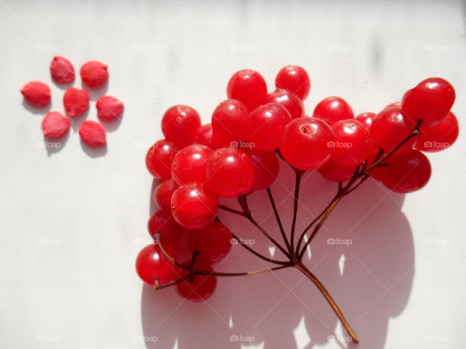 Close-up of cranberries