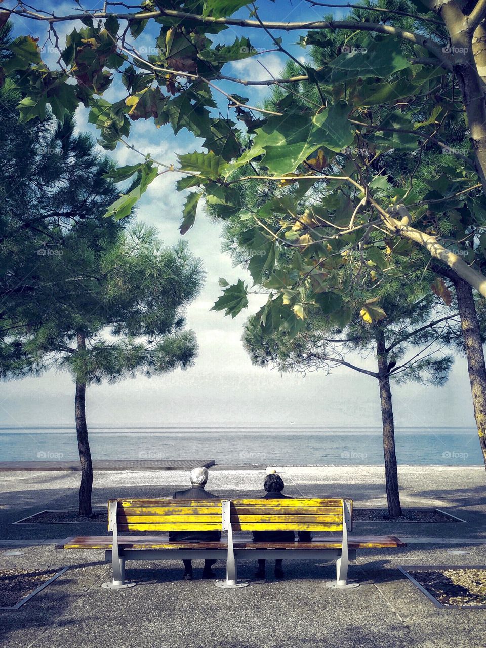 Old couple sitting on a yellow bench