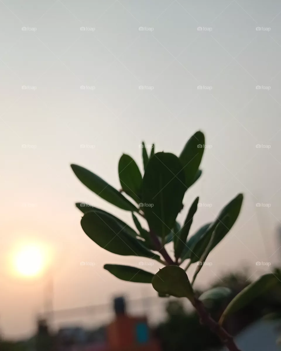 sun set time
